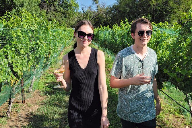 Private Wine Tour, Voted best in town, Tastings Included!