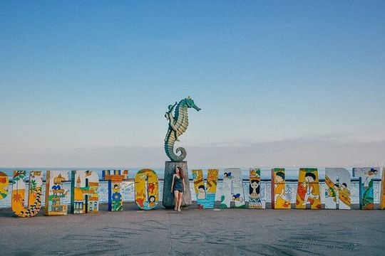 Private City Tour & Rain Forest