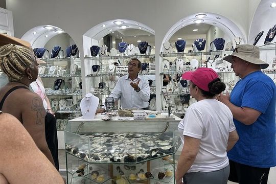 CityTour in Cabo San Lucas and Transparent Boat Tour to the Arch