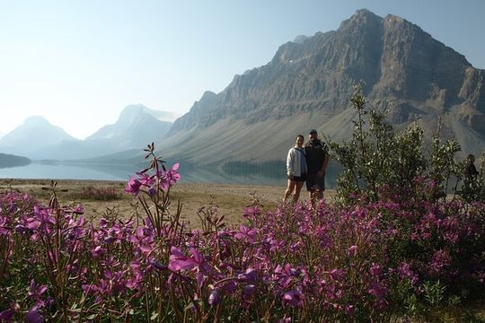 Canadian Rockies Golden Hour Tour | Lunch Included