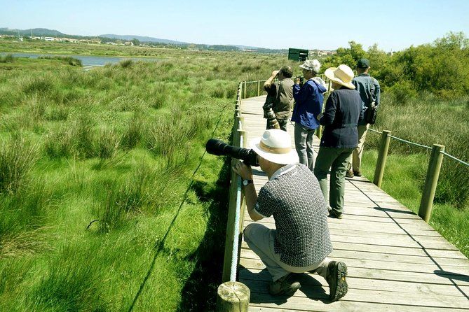 Private Birdwatching from Porto