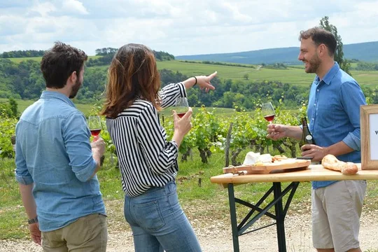 Chablis & Burgundy vineyards & cellars tour from Paris +Sommelier