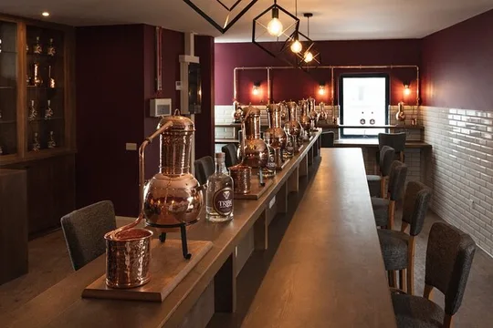 Tribe Gin School Masterclass in Galway