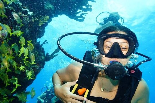 Two Dives and Class for Begginers Divers in Cancun