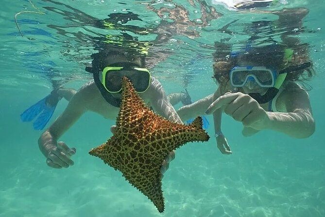 Saona Island Day Trip From Punta Cana with Lunch and Open Bar