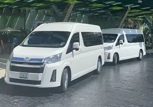 Cancun Airport to Playa del Carmen One-Way Private Transfer