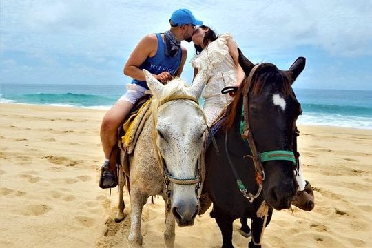 Combo Double Atv + Horses