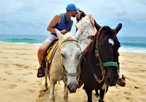 Combo Double Atv + Horses