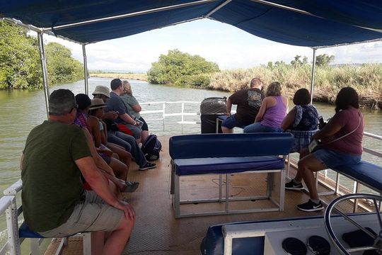 Private Appleton Estate Rum and Black River Safari Tour