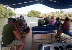 Private Appleton Estate Rum and Black River Safari Tour