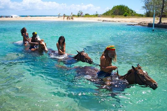 Jamaica Zipline and Horseback Ride n Swim Adventure Tour from Runaway Bay