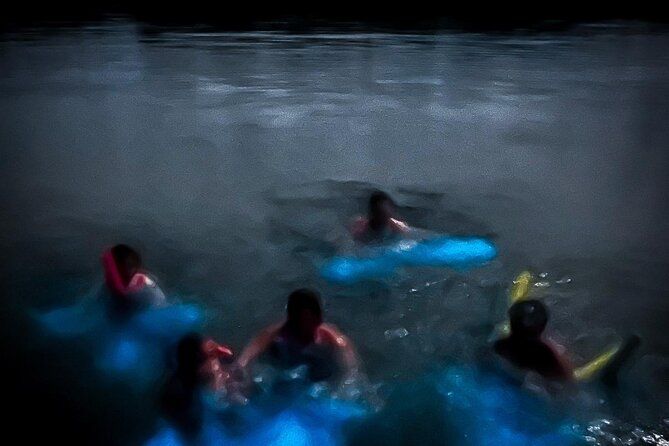 The ULTIMATE Bioluminescence night time adventure with Brandon