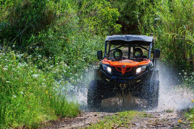 Algarve Buggy Tours