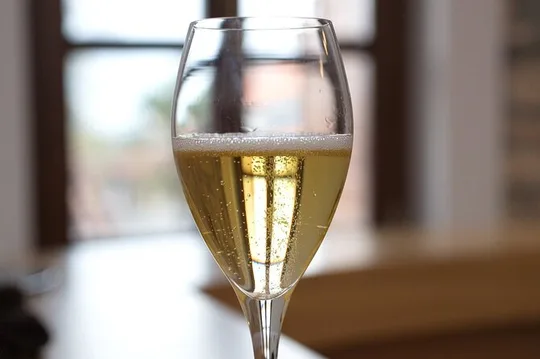 Private Sparkling Wine Tasting in Istria