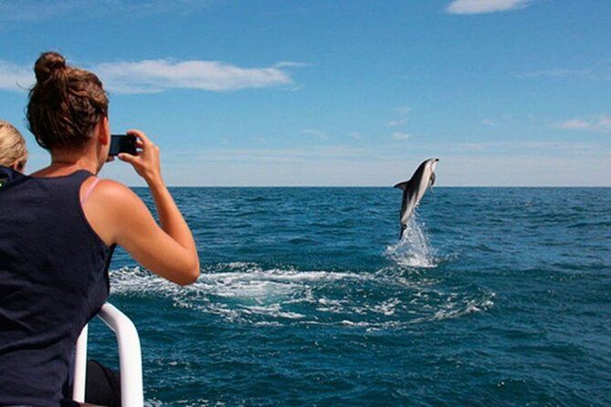 All-Inclusive Island Visit National Park Brijuni & Dolphin Cruise