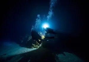 Night Dive Adventure in Oahu