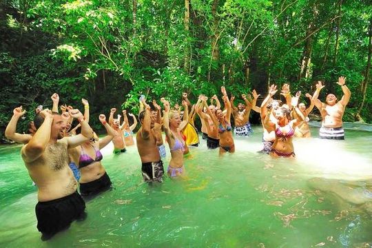Private Day Tour in Blue Hole Secret Falls & Dunn's River Falls