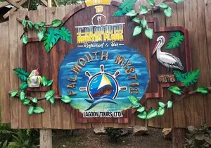 Private Luminous Lagoon Tour from Montego bay