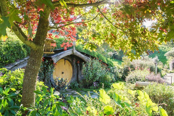 Private 2 Days Tour from Auckland - Waitomo, Hobbiton and Rotorua