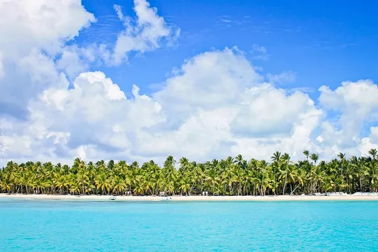 Saona Island Tropical Escape with Catamaran Party