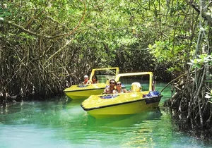 Speedboat and snorkel adventure