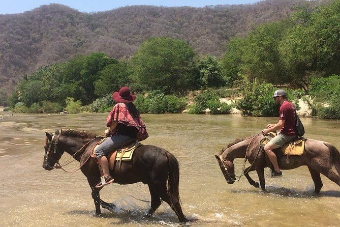 Horses on The Beach or Hot Springs