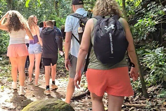 Half-Day St. Kitts Rainforest Hike