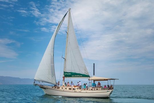 Luxury Puerto Vallarta Shared Sailing Tour: Sail, Swim & Dine