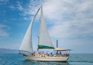 Luxury Puerto Vallarta Shared Sailing Tour: Sail, Swim & Dine