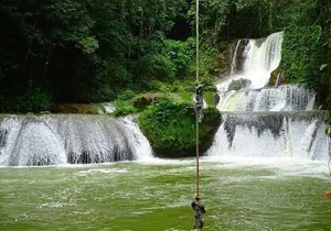 Appleton Estate and Ys Falls Private Tour