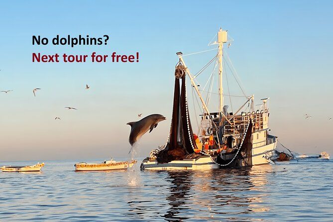 Sunrise Dolphins & Fishermen at Work speedboat tour in Rovinj