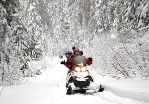 Family Snowmobile Tour in Whistler