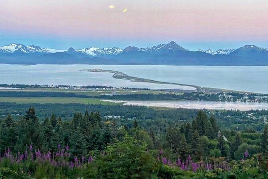 Port Homer Day Tour Wilderness, Wildlife and Beach Experience