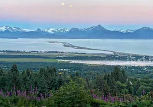 Port Homer Day Tour Wilderness, Wildlife and Beach Experience
