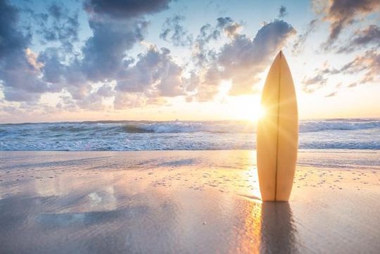 Surfing Adventure in San jose del Cabo