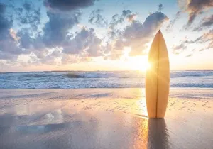 Surfing Adventure in San jose del Cabo