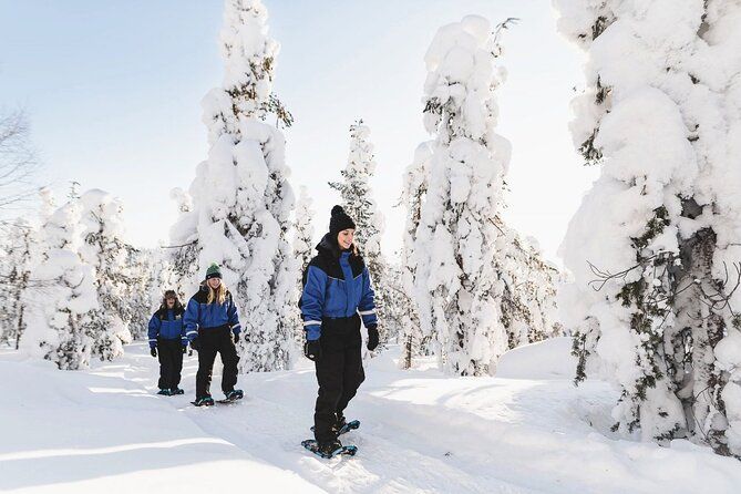 Snowshoeing in the Arctic Circle Forest