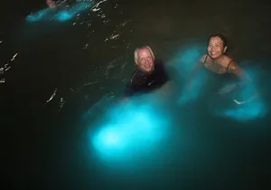 Private Transfer to luminous Lagoon