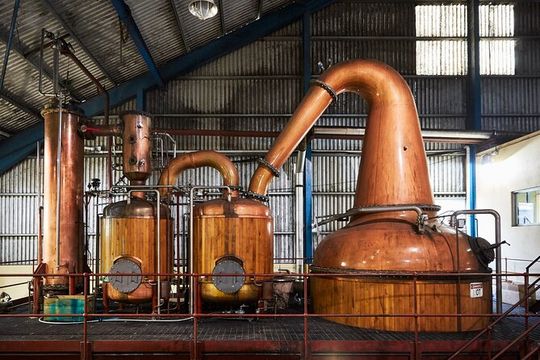 Worthy Park Estate Rum Tour from Ocho Rios