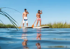2-Hour Clear Kayak and Paddleboard(SUP) Rental in Orlando