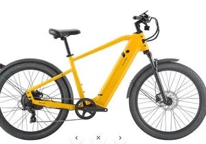 24 Speed Hybrid Road Bike Rental