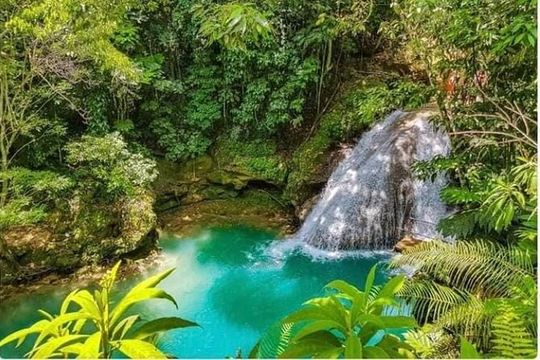Half- Day Tour of Dunn's River Falls and Blue Hole in Ocho Rios