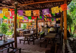Fun & Adrenaline Atv (single) Cenote and Zipline.