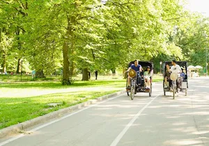 Central Park Private Pedicab Tour