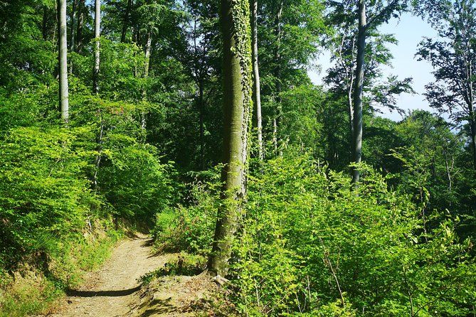 Perceive Zagreb Like a Local - Medvednica Nature Park Hiking
