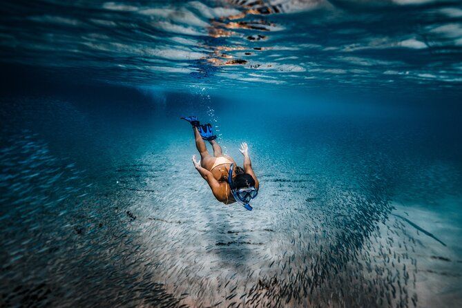 Private Guided Snorkeling in Cabo San Lucas