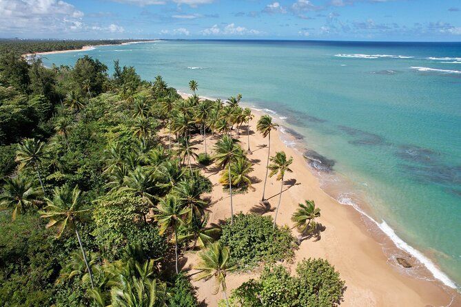 PR Chinchorreo-Beach and Bar Hopping Tour