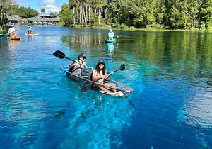 Silver Springs: Clear Kayaking Wildlife Tour
