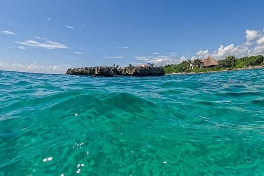 Atv Extreme Snorkel from Cancun