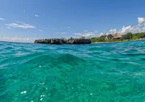 Atv Extreme Snorkel from Cancun